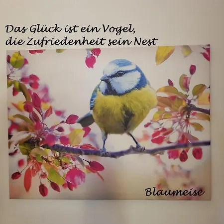 Apartamento Gelb - Chiemgau Karte